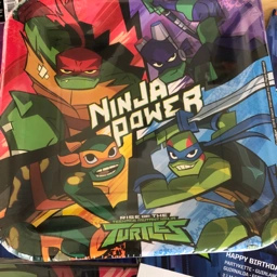 Ninja Turtles Fest sæt