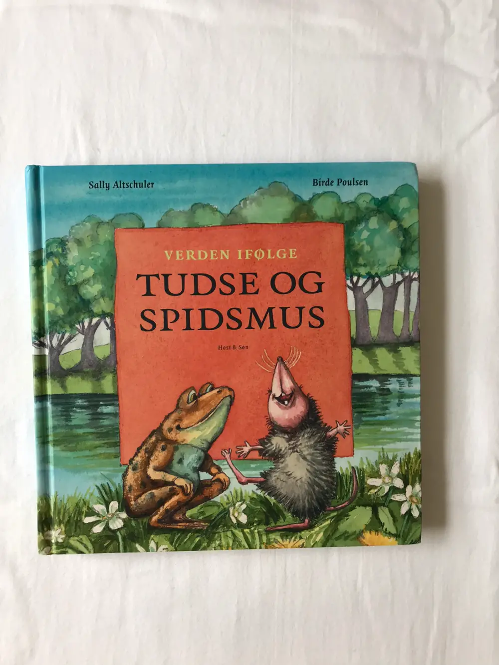 Verden ifølge tudse og spidsmus Bog