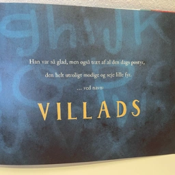 Navnebog special lavet til Navnet VILLADS