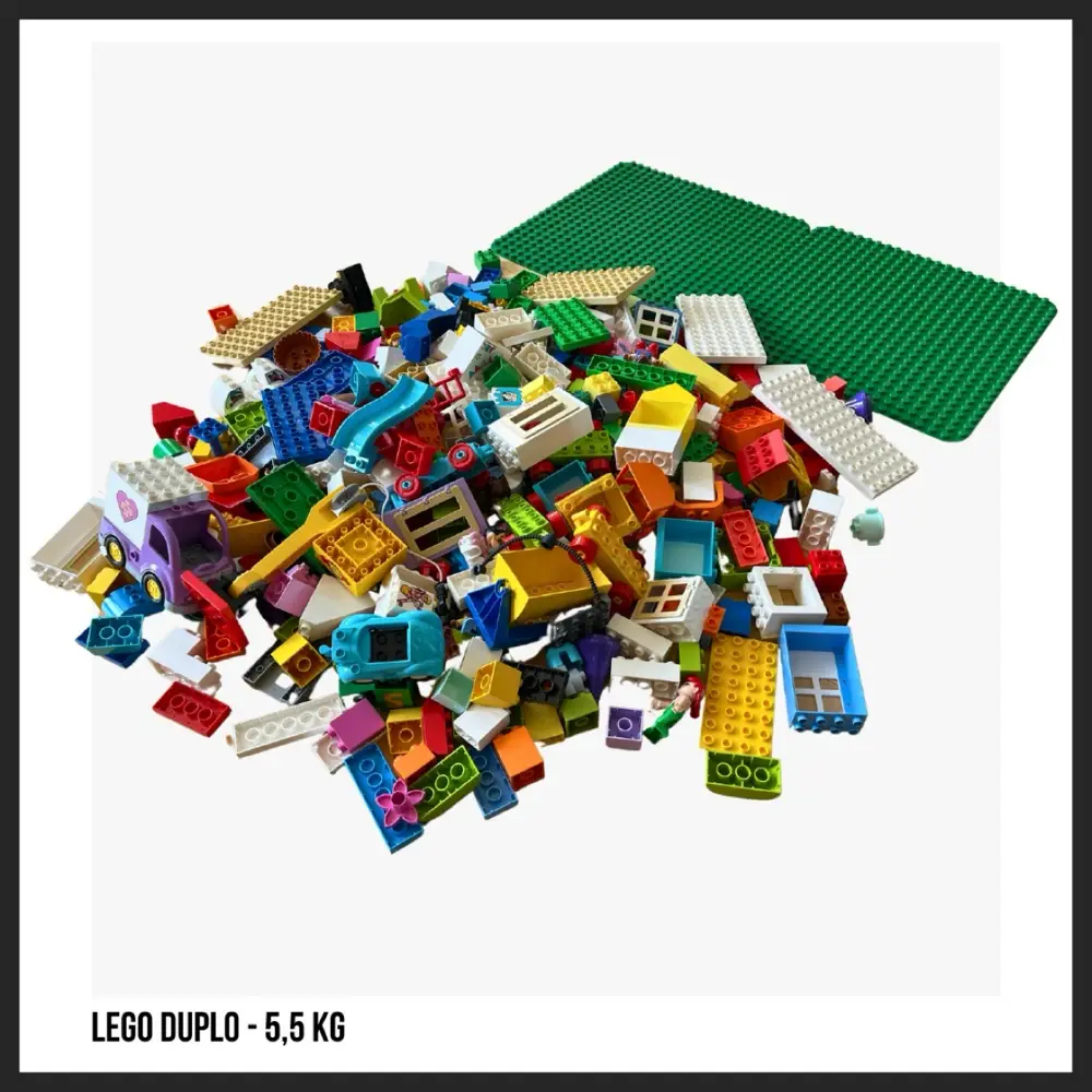 LEGO 55kg Duplo