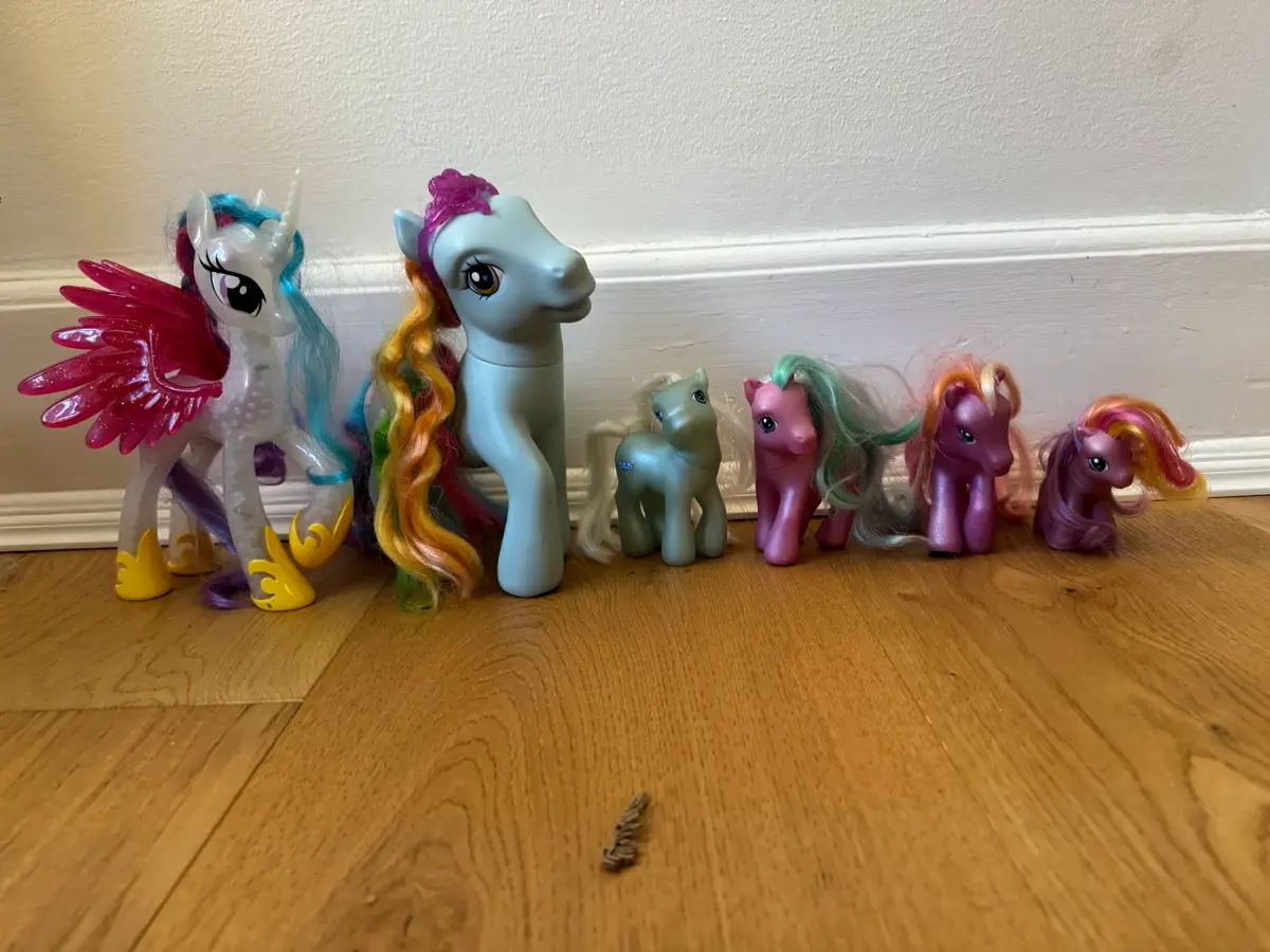 My Little Pony Ponyer