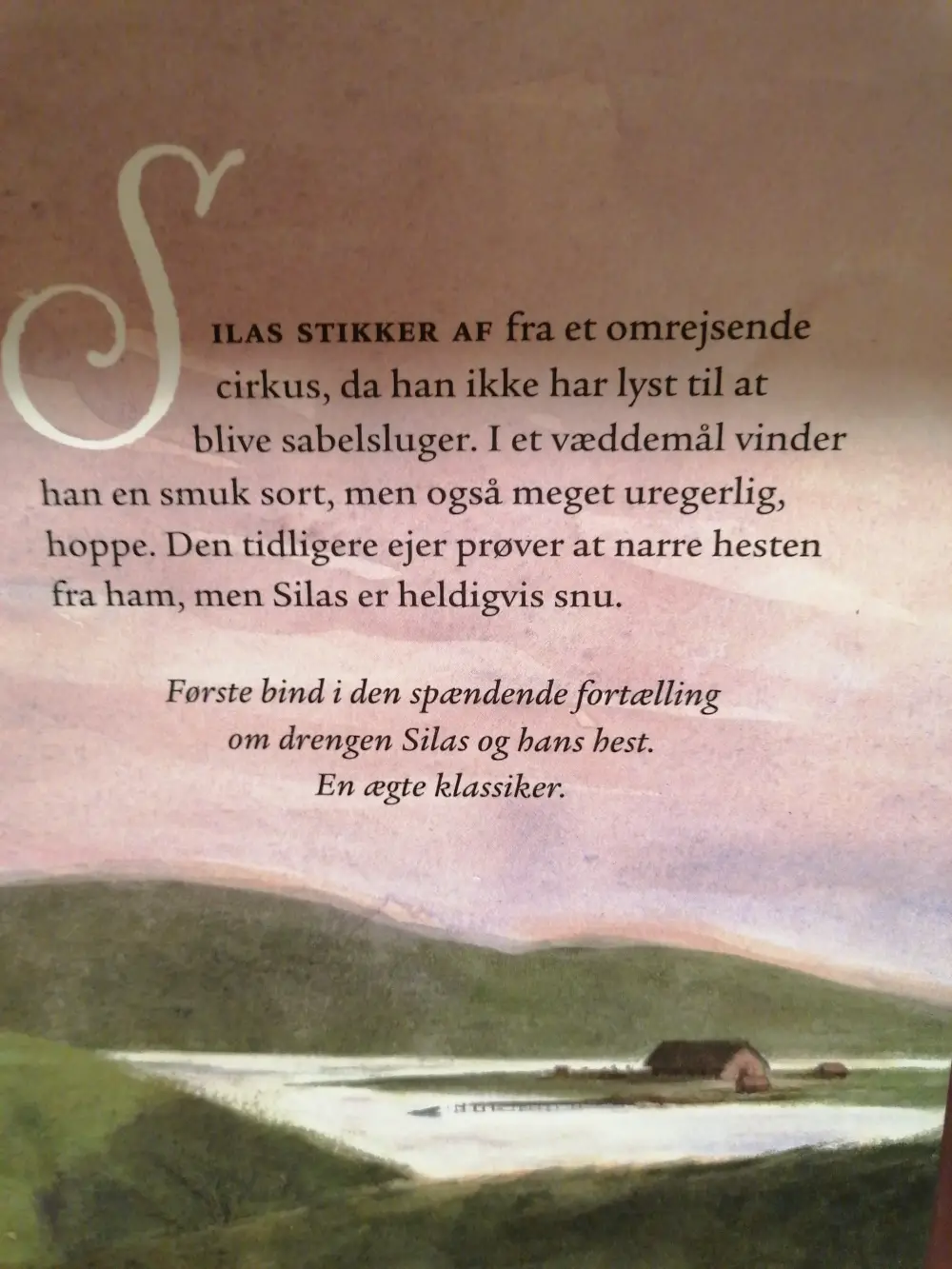 Silas og den sorte hoppe Bog