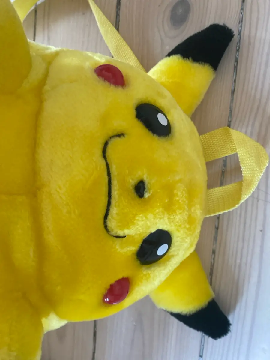 Pokémon Bamse