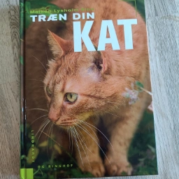 Træn din kat Bog