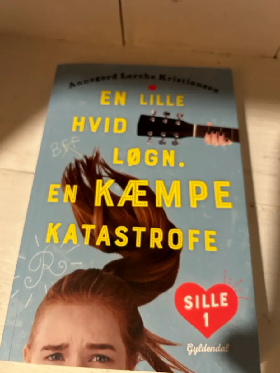 En lille hvid løgn Bog