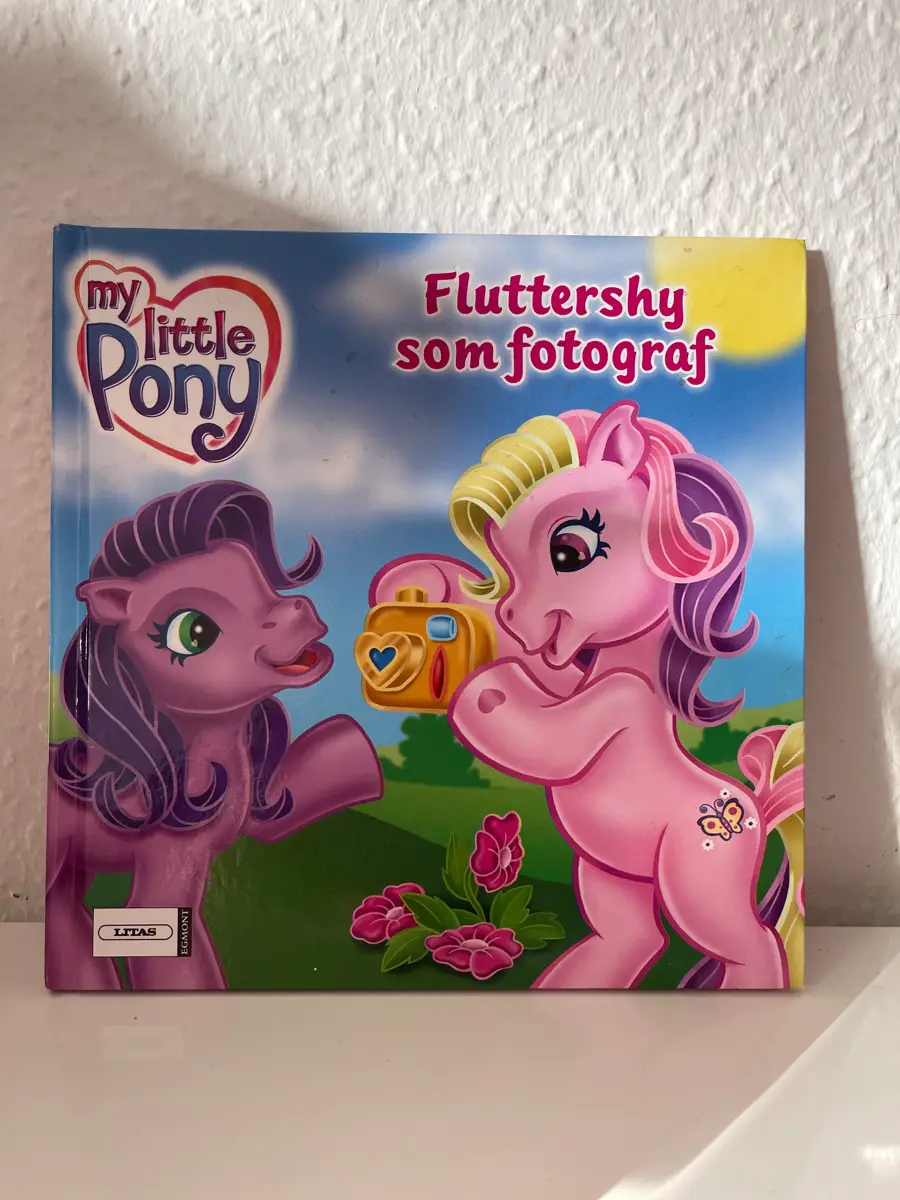 My little pony - fluttershy som fotograf Bog