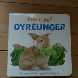 Hvem er jeg - dyreunger Papbog