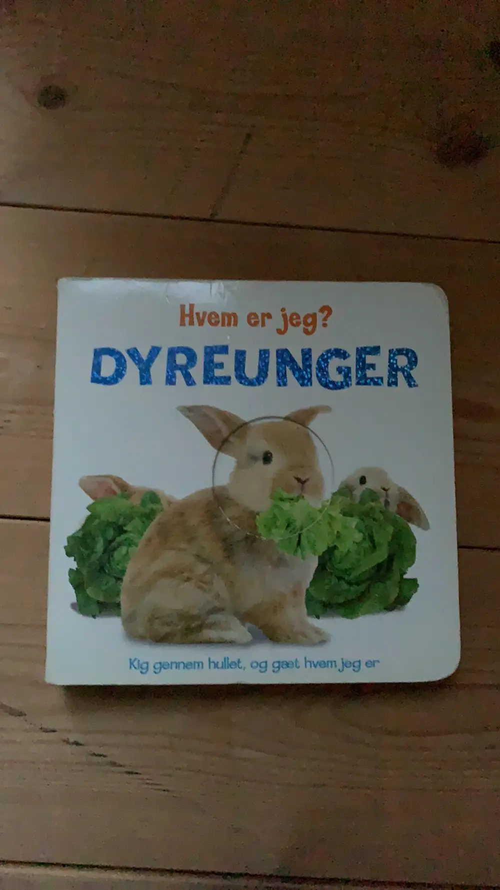 Hvem er jeg - dyreunger Papbog