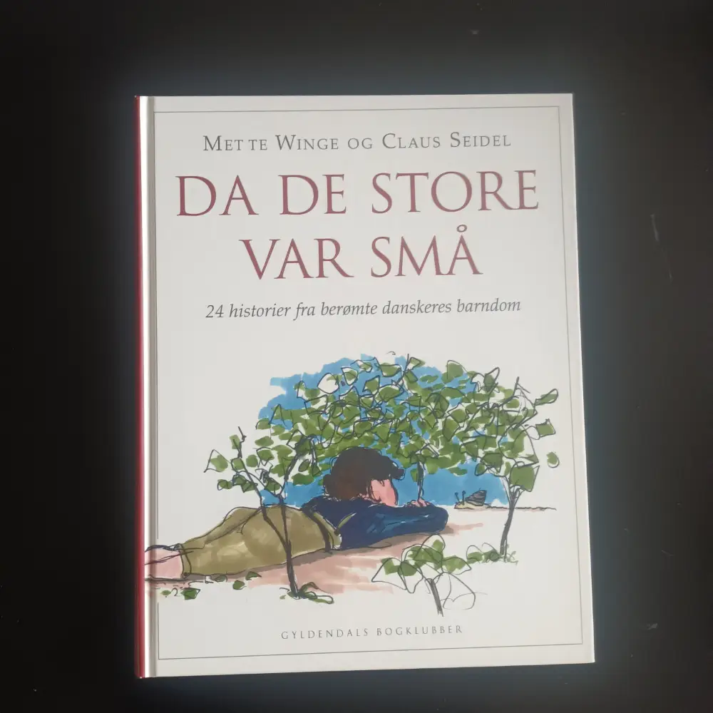 Da de store var små Bog