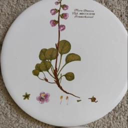 Flora danica Platter