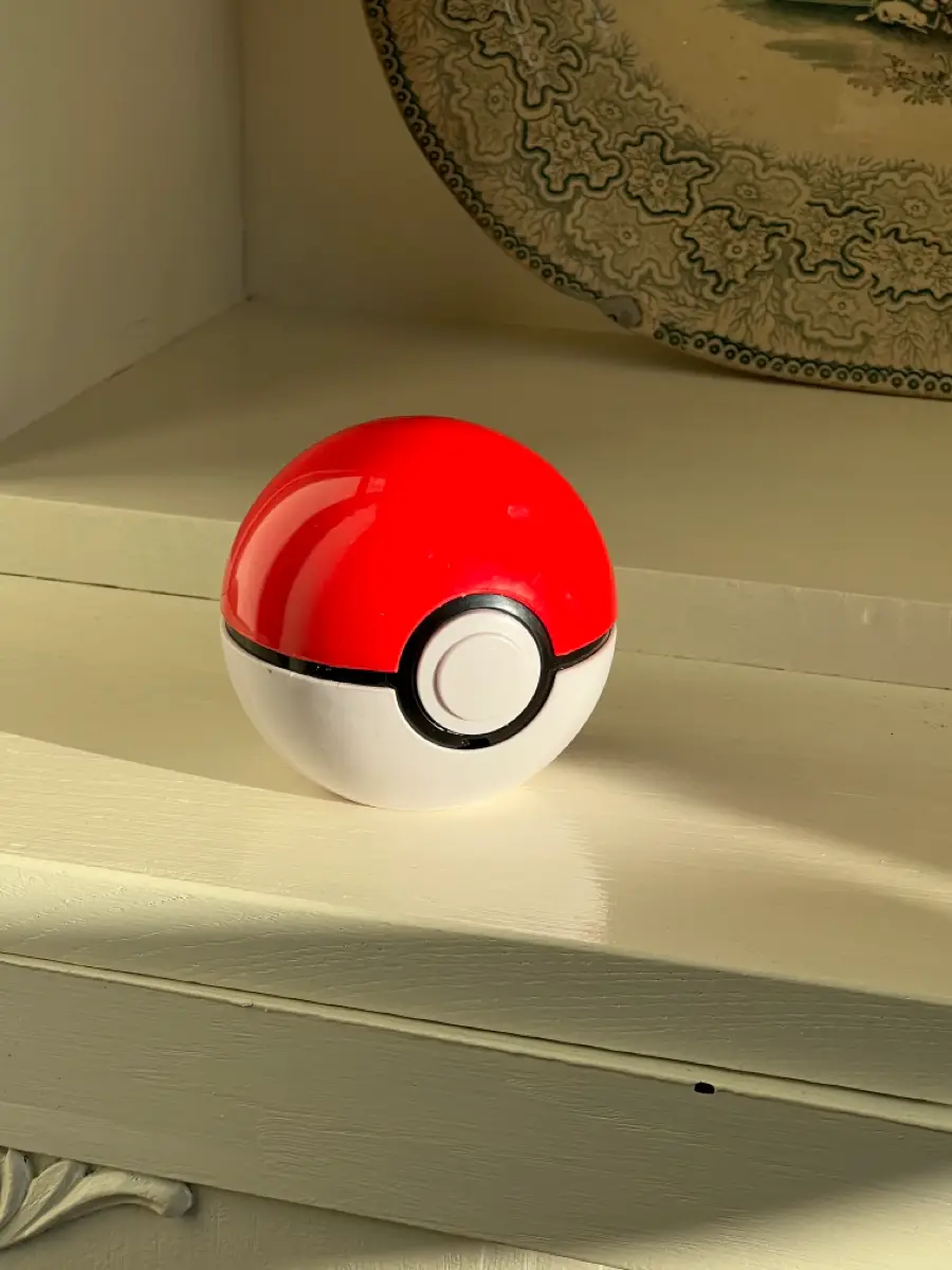 Pokémon Guess ball