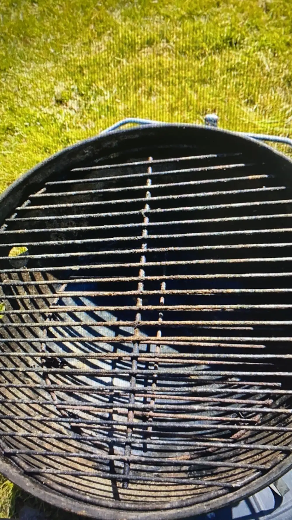 Weber Grill