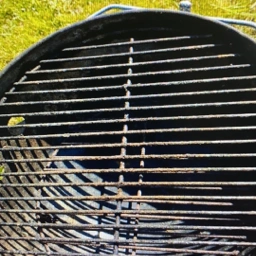 Weber Grill