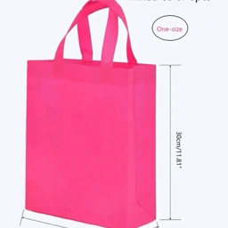 Shein Poser/ goodibags