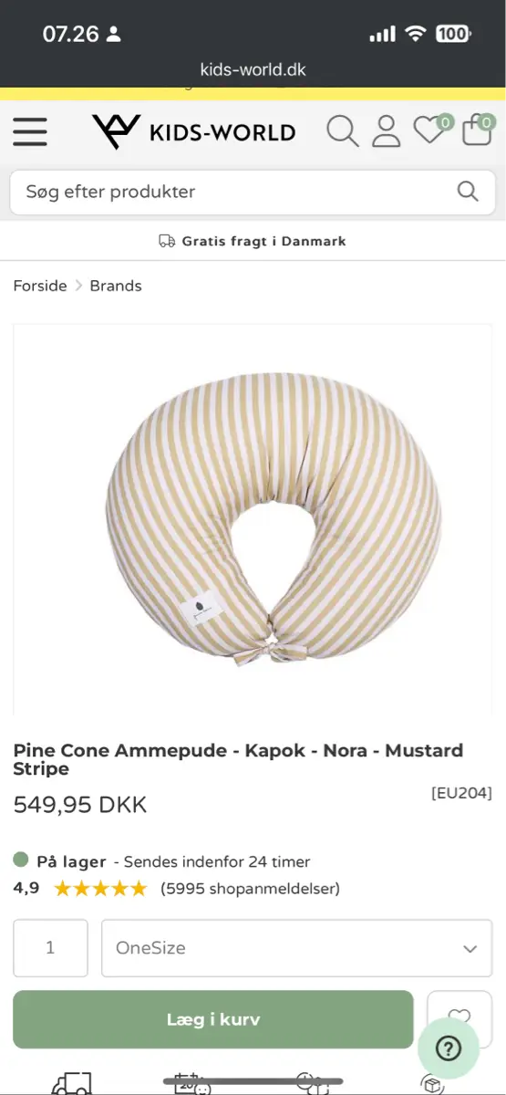 Pine Cone Ammepude