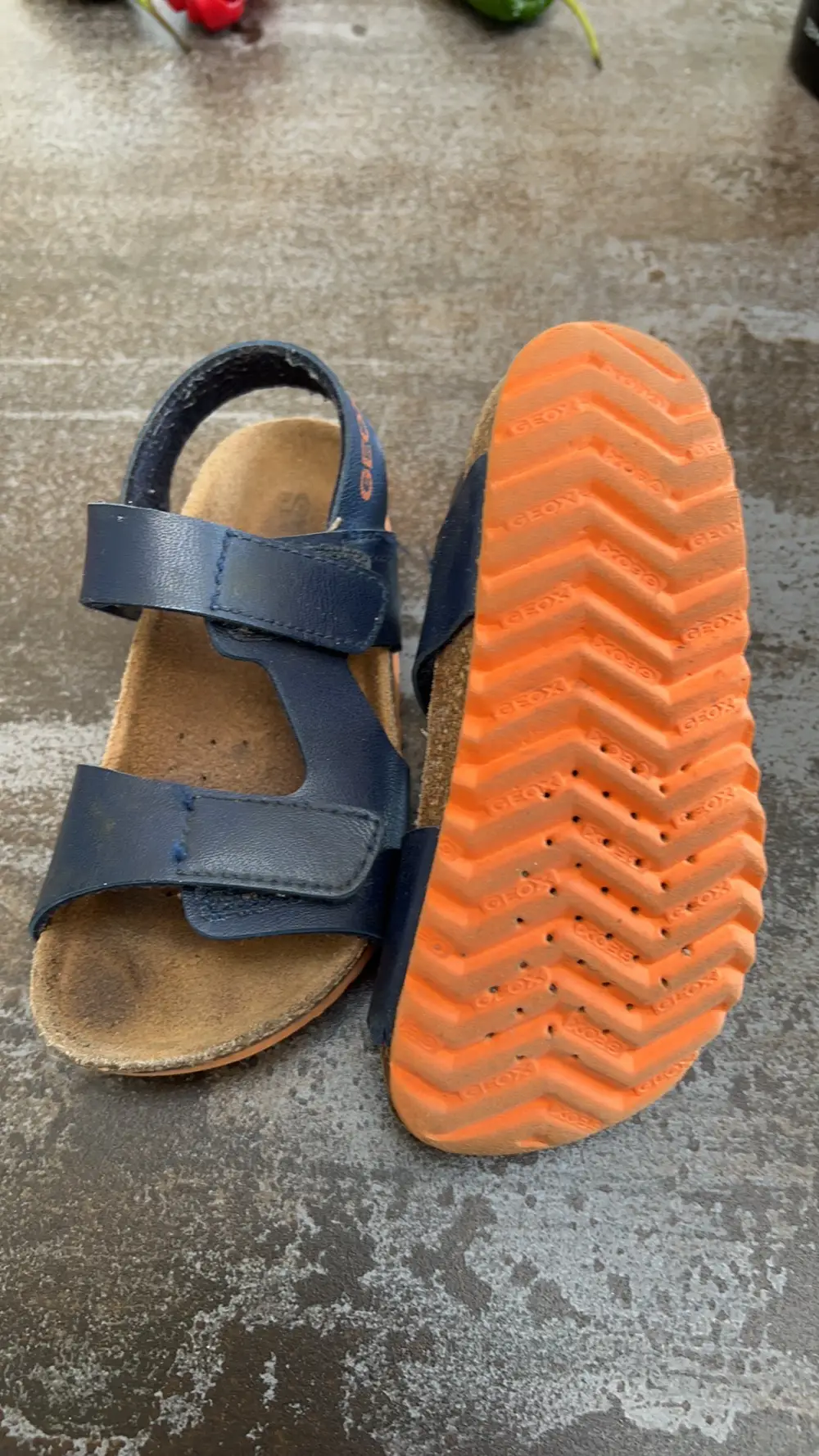 Geox Sandals