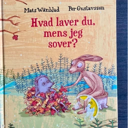 Hvad laver du mens jeg sover? Sød illustreret bog om to venn