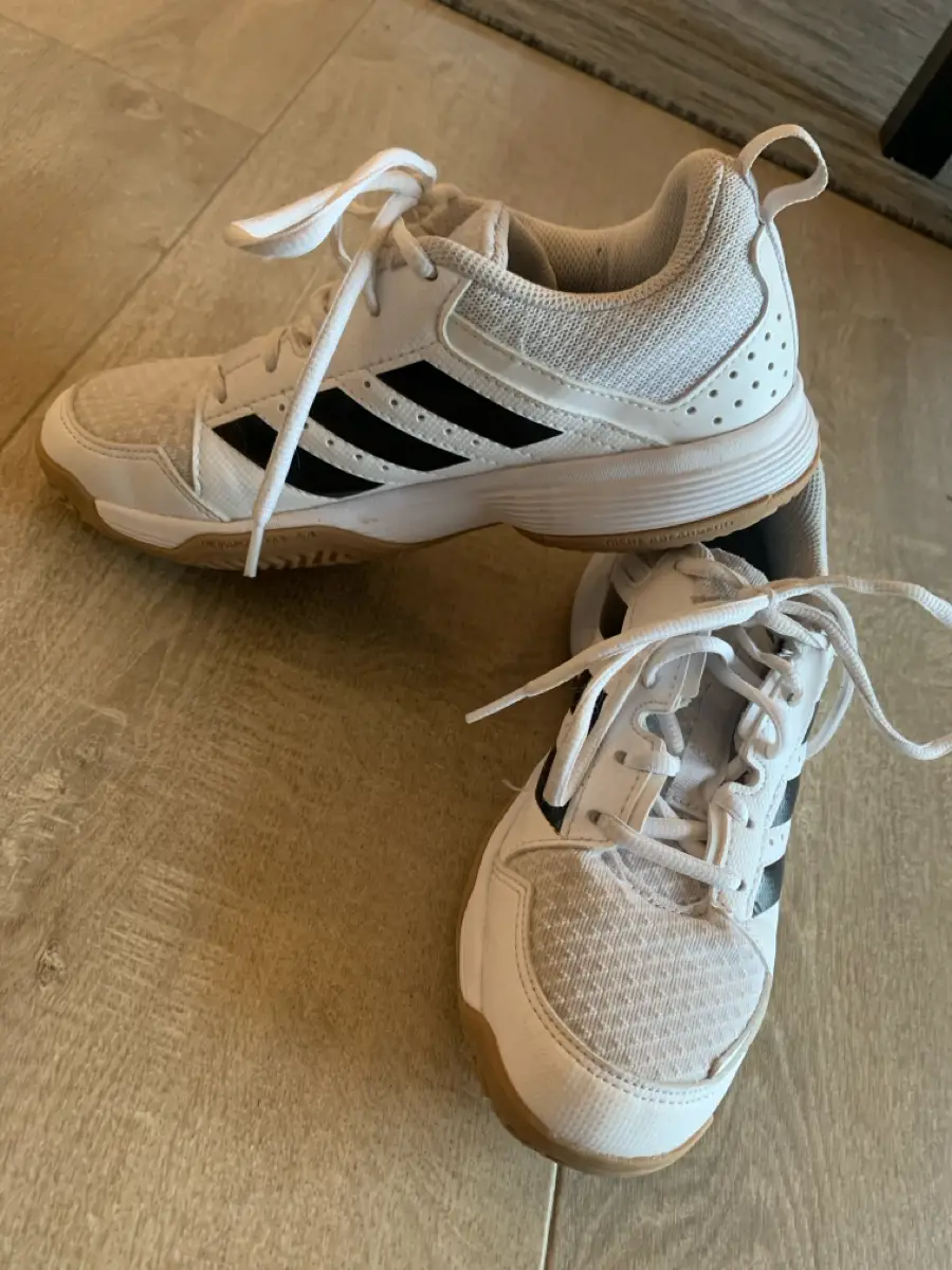 adidas Indendørssko