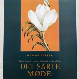 Hanne Passer Plakat