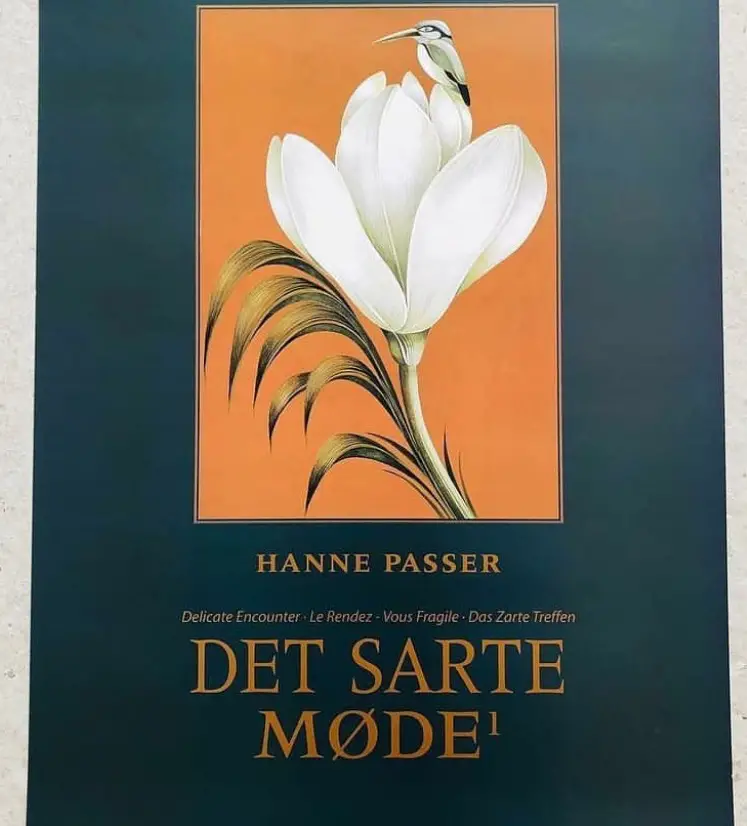 Hanne Passer Plakat