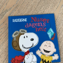 Radiserne - Nusser dagens helt Bog