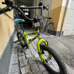 Unknown Boys bike