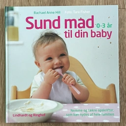 Sund mad til din baby Bog