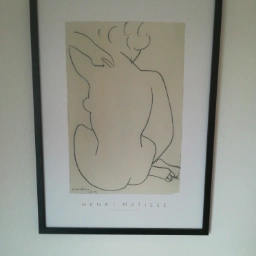 Henri Matisse Billede