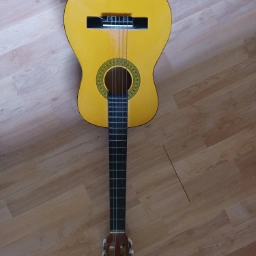 Ukendt Guitar