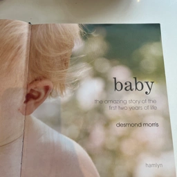 Baby - the amazing story af Desmond Morr Bog til voksne