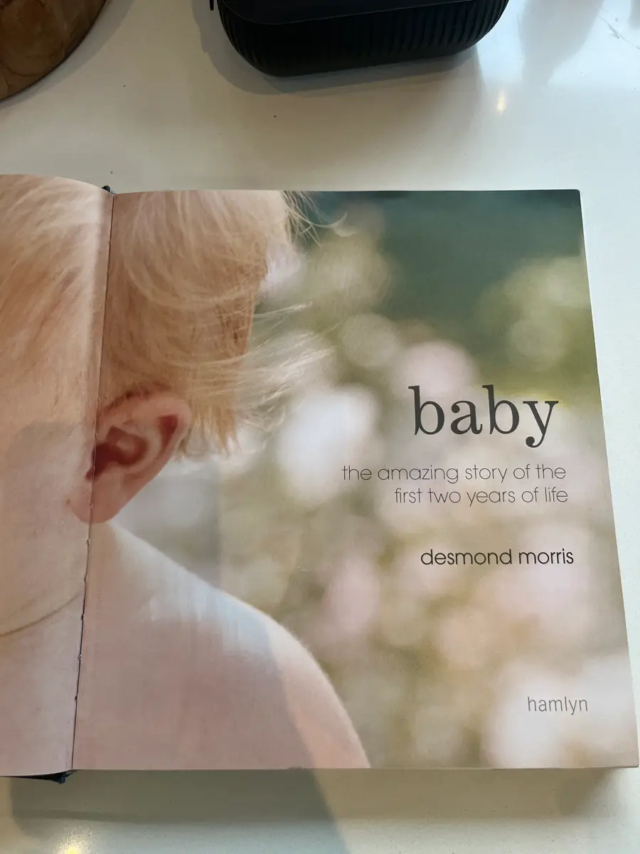 Baby - the amazing story af Desmond Morr Bog til voksne