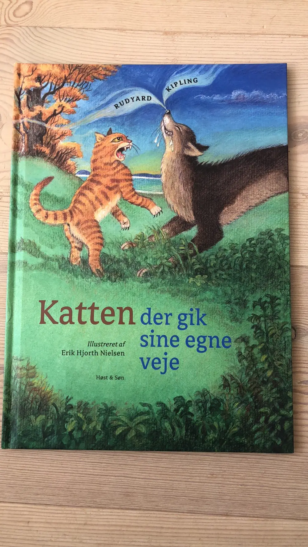 Katten der gik sine egne veje Bog (hardback)