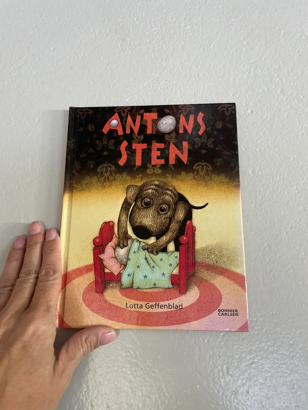 Antons sten Fin bog