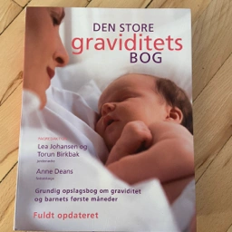 Den store graviditetsbog Bog