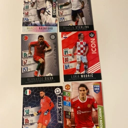 Panini fodboldkort Fodbold kort