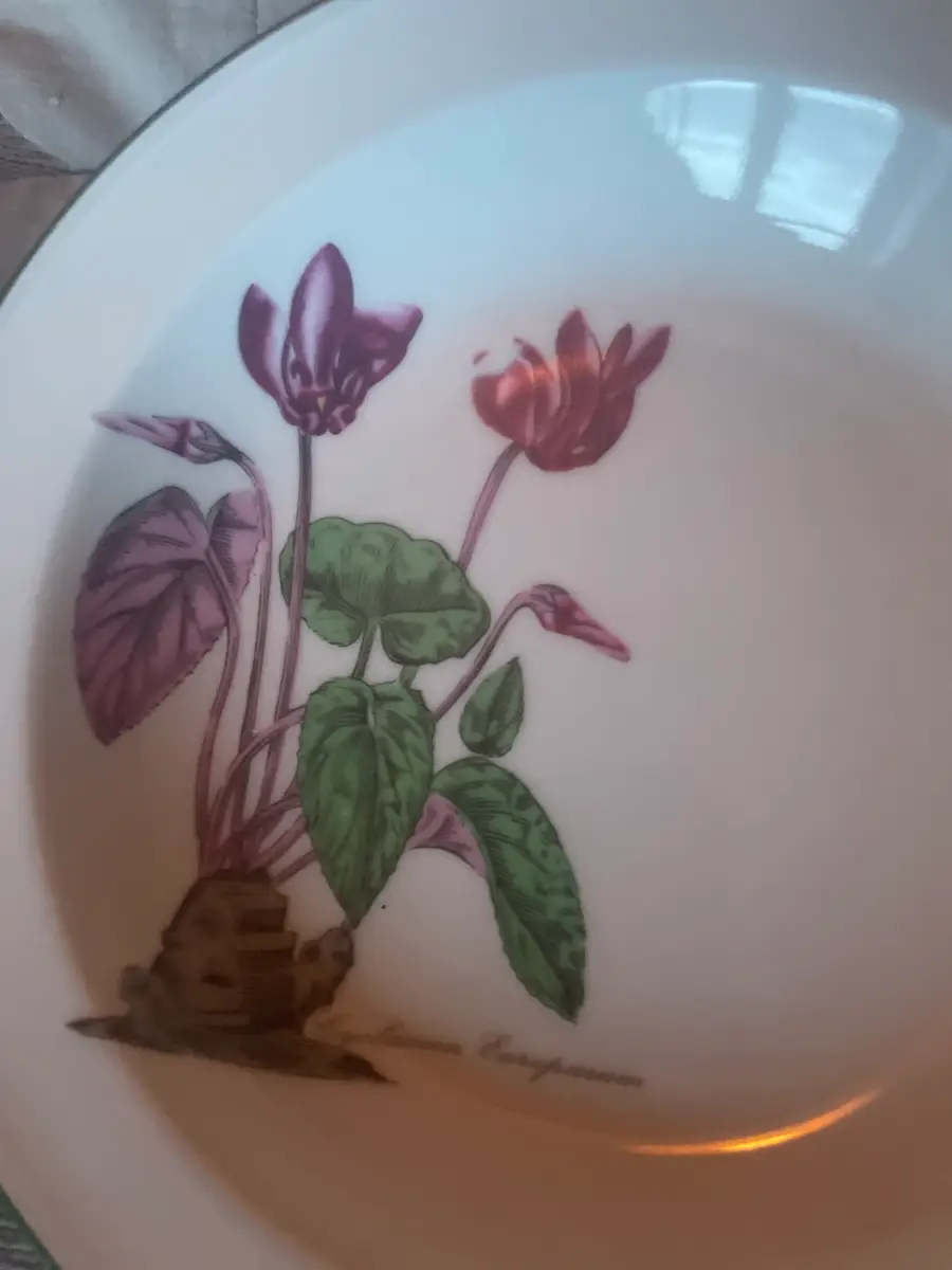 Seltmann Weiden Diverse porcelæn med blomster
