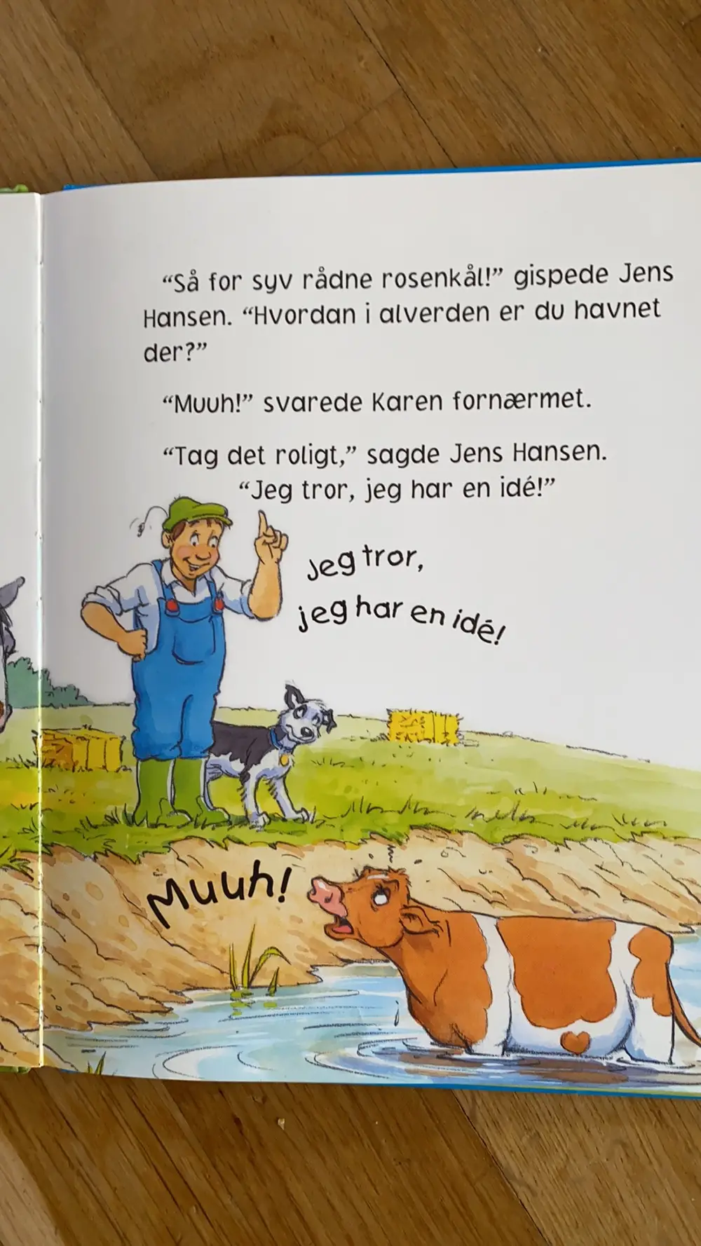 Jens Hansens bondegård - diverse Bøger