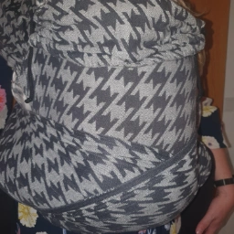 Didymos Didytai