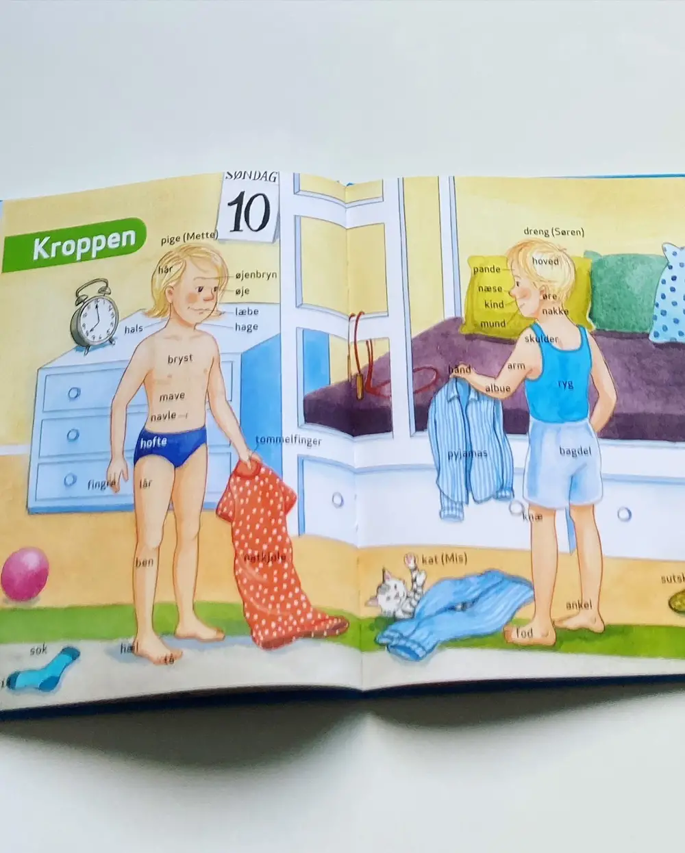 Søren og Mette lærer dansk - ordbog Bøger