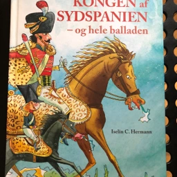 Kongen af Sydspanien Bog