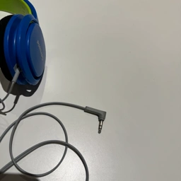 Philips Headset