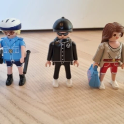 Playmobil Tasketyv