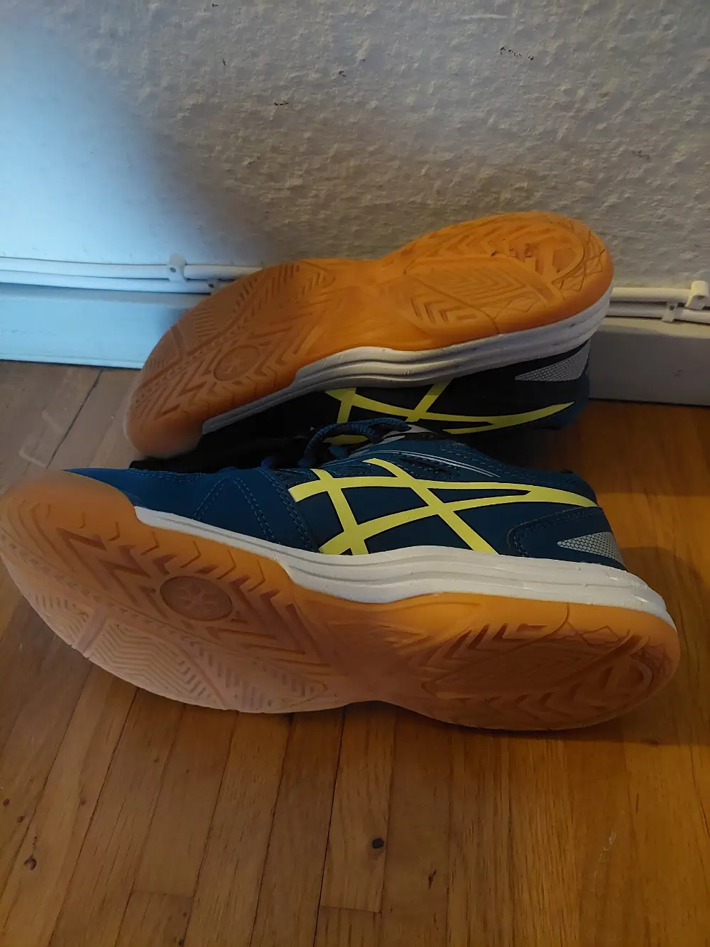 ASICS Indendørs sko