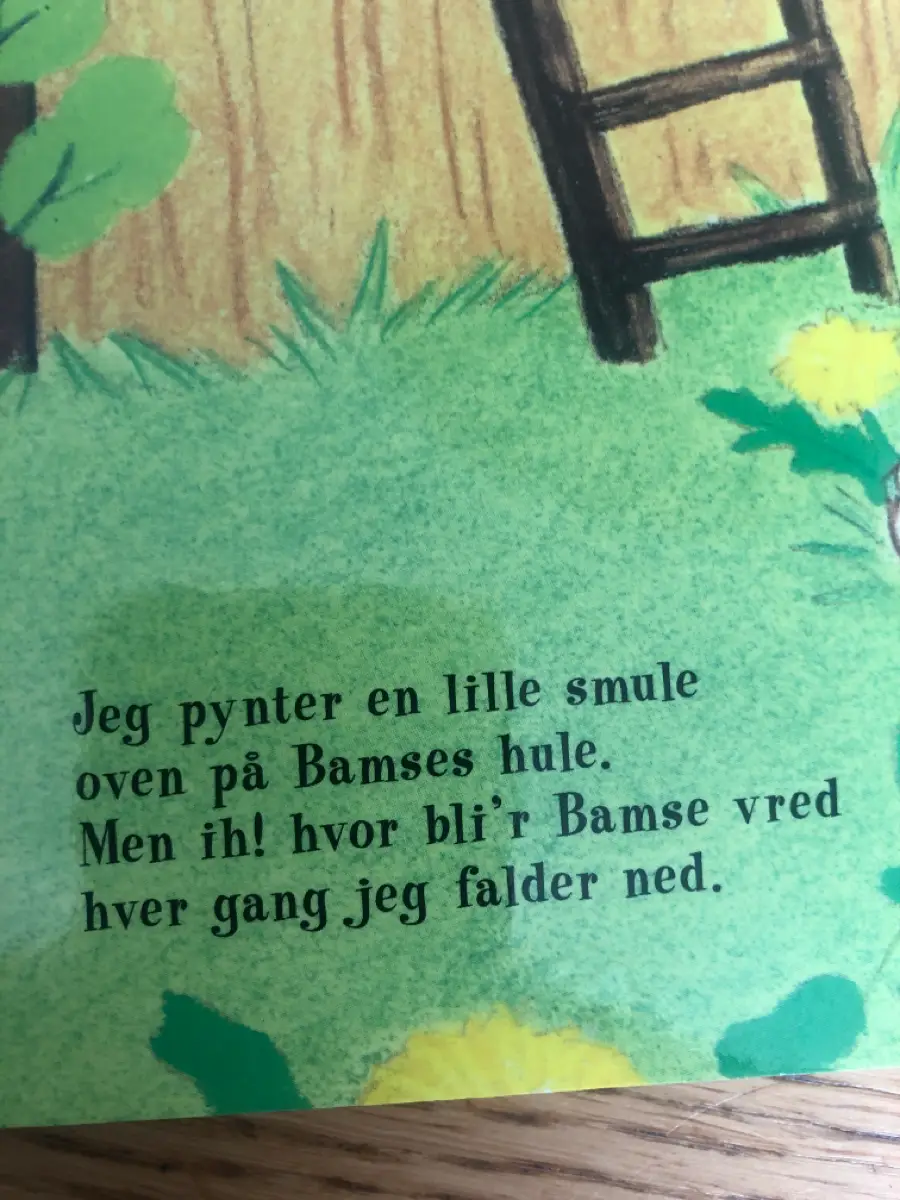 Bamses 100 bedste gåder Bog