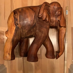 Ukendt elefant