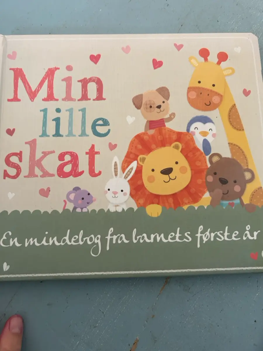 Min lille skat-mindebog Barnets bog