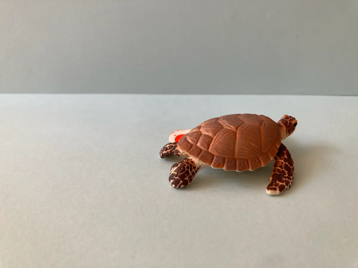 Schleich Havskildpadde