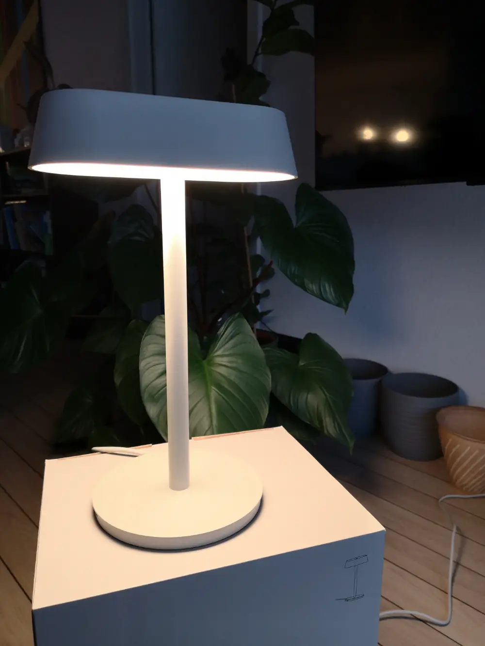 Muuto Bordlampe