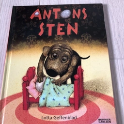 Antons sten Bog