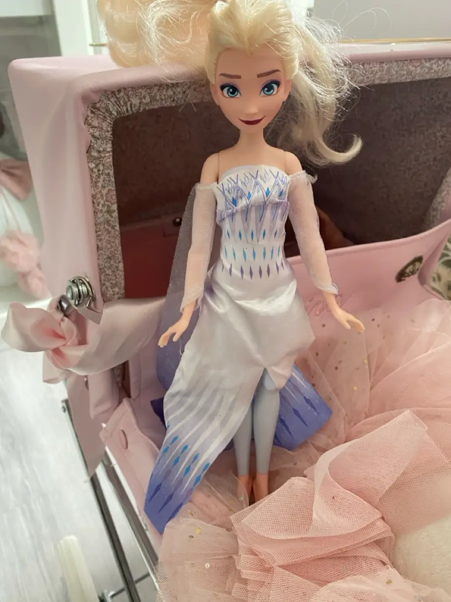 Barbie Elsa  frozen  Frost